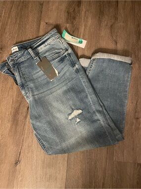 Studio Blue Light Wash Capris